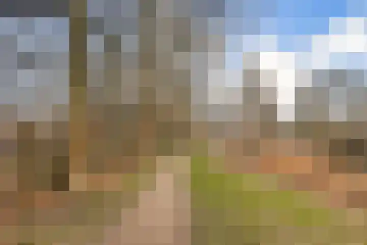 Zuidendijk 24 Dordrecht thumbnail 31
