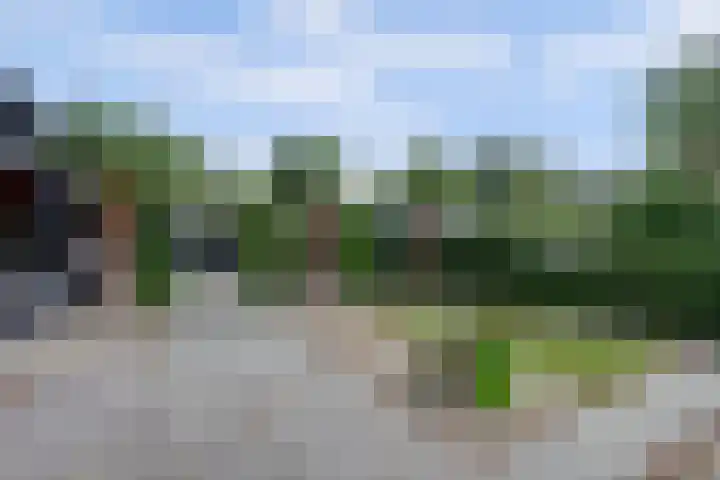 Zuidendijk 373 Dordrecht thumbnail 46