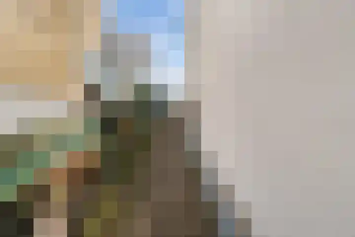 Zuidendijk 69 Dordrecht thumbnail 43