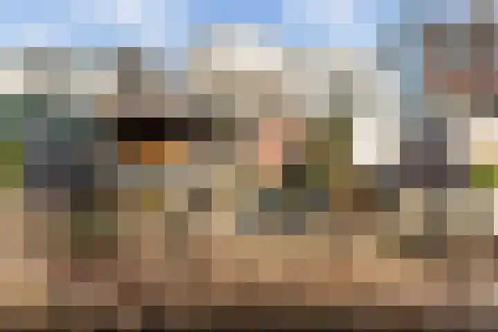 Zuidendijk 69 Dordrecht thumbnail 44