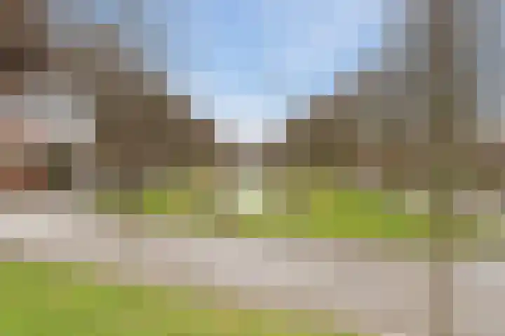 Zuidendijk 69 Dordrecht thumbnail 49