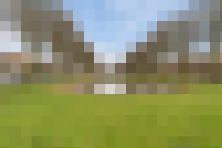 Zuidendijk 69 Dordrecht thumbnail 50