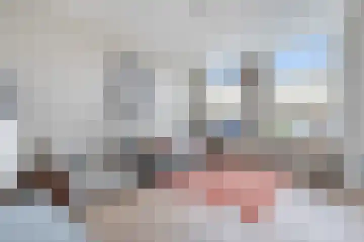 Zuidendijk 69 Dordrecht thumbnail 7