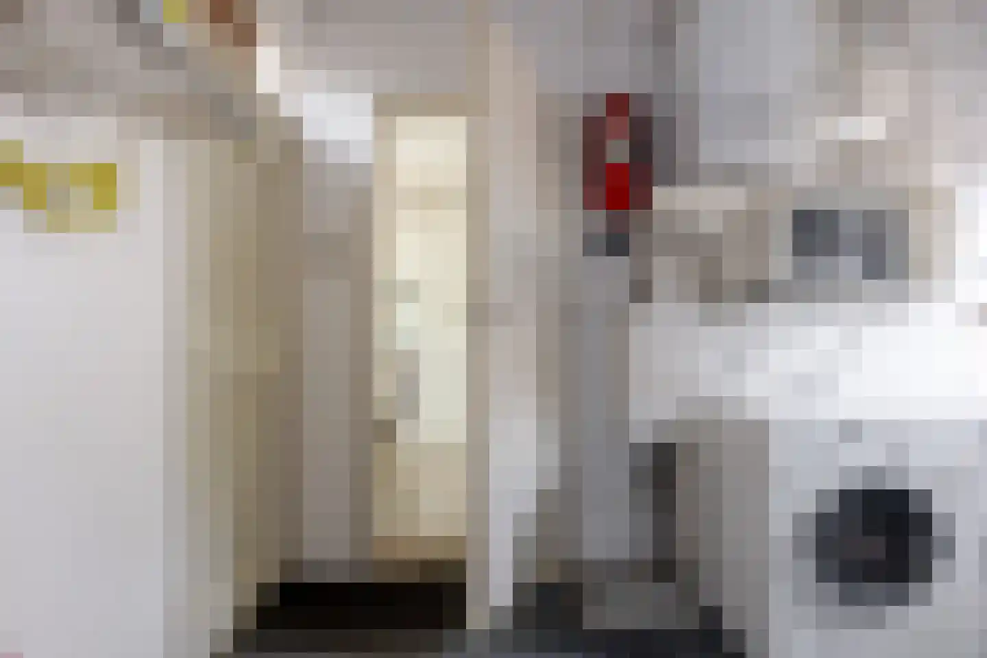 Zuidenveld 17 Roden thumbnail 22