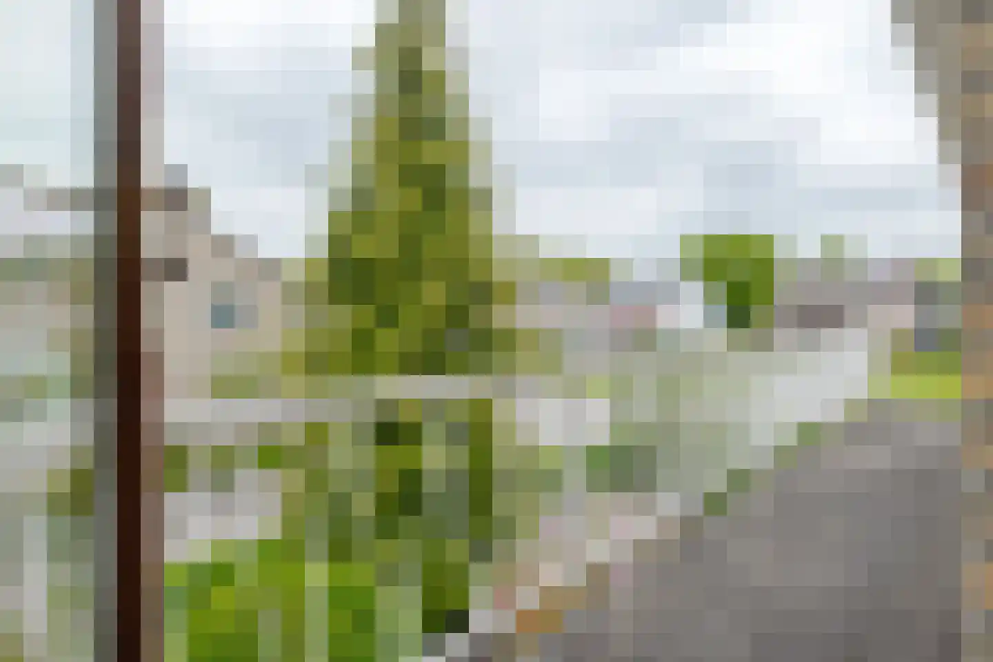 Zuidenveld 17 Roden thumbnail 35