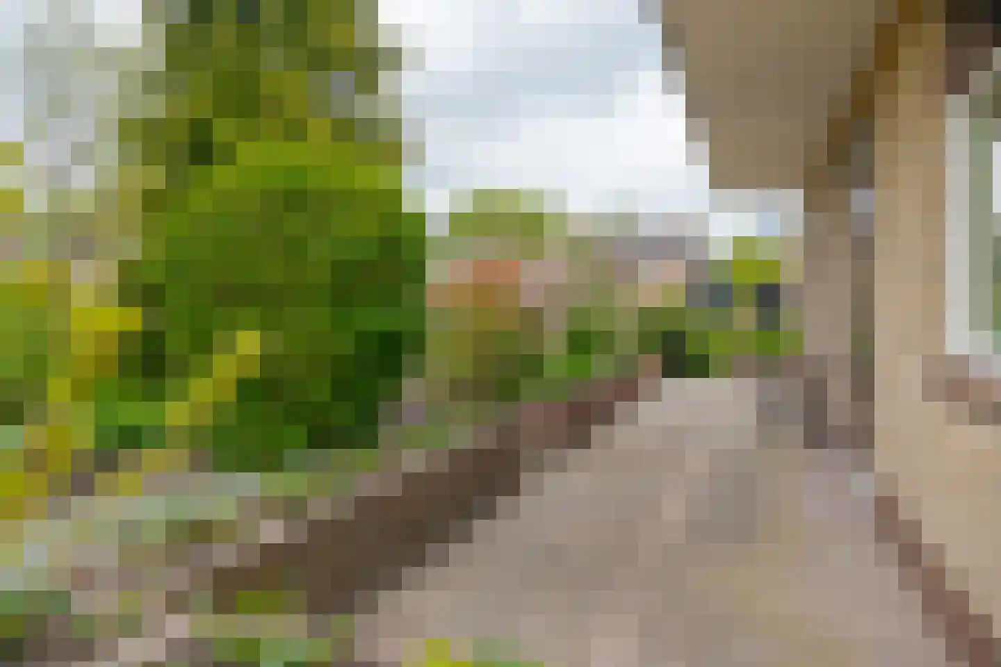 Zuidenveld 17 Roden thumbnail 48