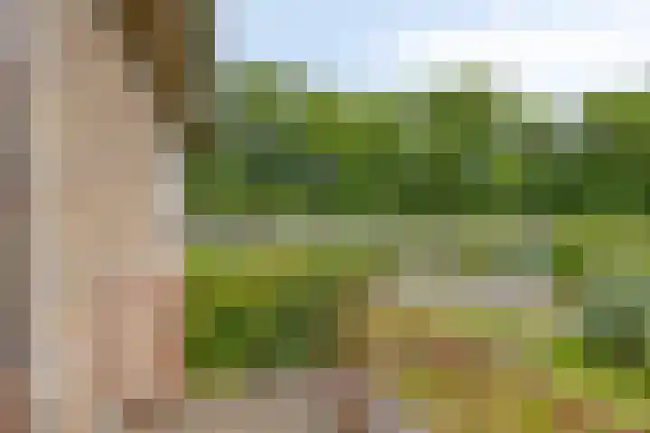 Zuidenveld 2 Roden thumbnail 26