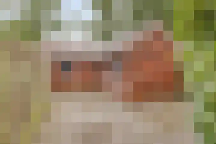 Zuidenveld 2 Roden thumbnail 34