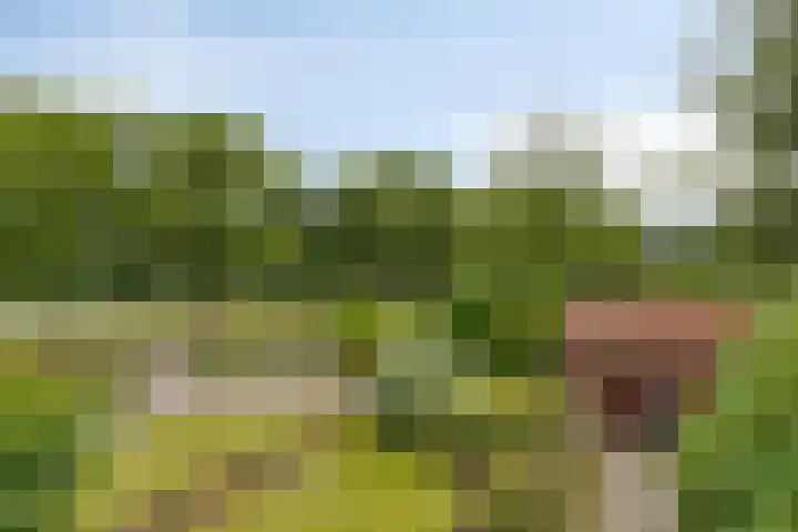 Zuidenveld 2 Roden thumbnail 35
