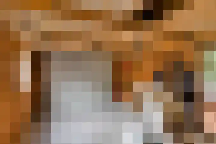 Zuidenveld 2 Roden thumbnail 36