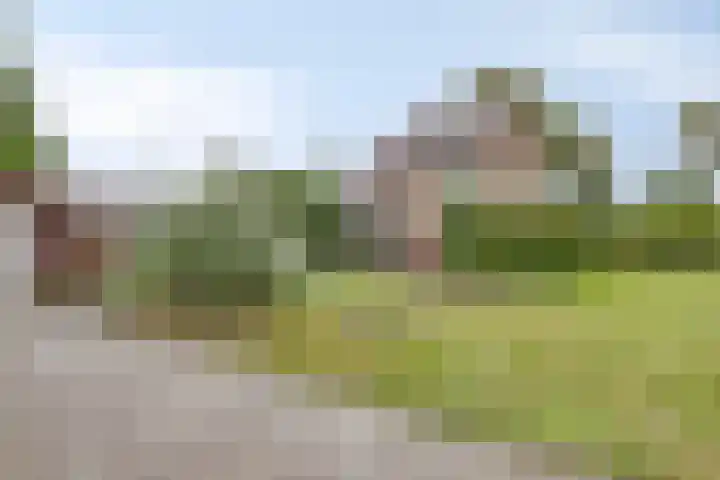 Zuidenveld 2 Roden thumbnail 41