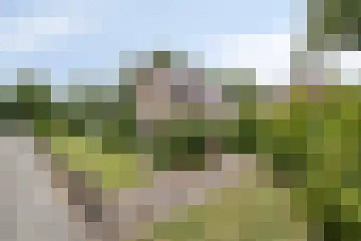 Zuidenveld 2 Roden thumbnail 46