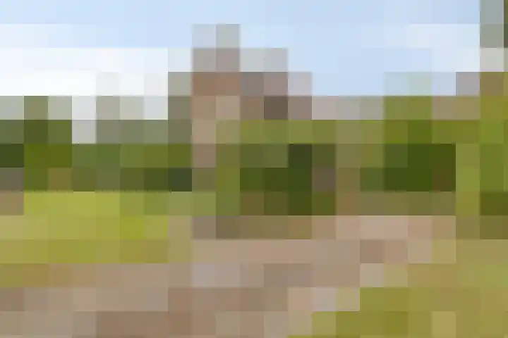 Zuidenveld 2 Roden thumbnail 47