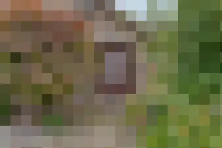 Zuidenveld 2 Roden thumbnail 48
