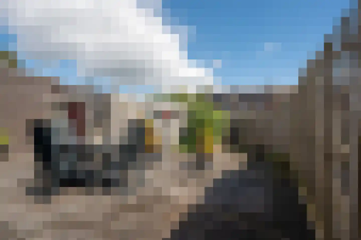 Zuidenveld 24 Assen thumbnail 18
