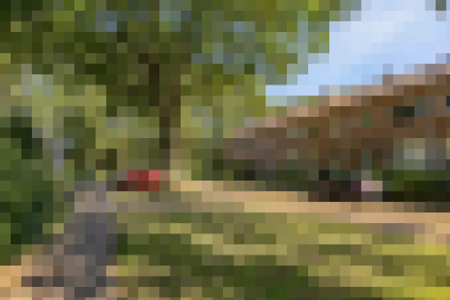 Zuidenveld 30 Assen thumbnail 48