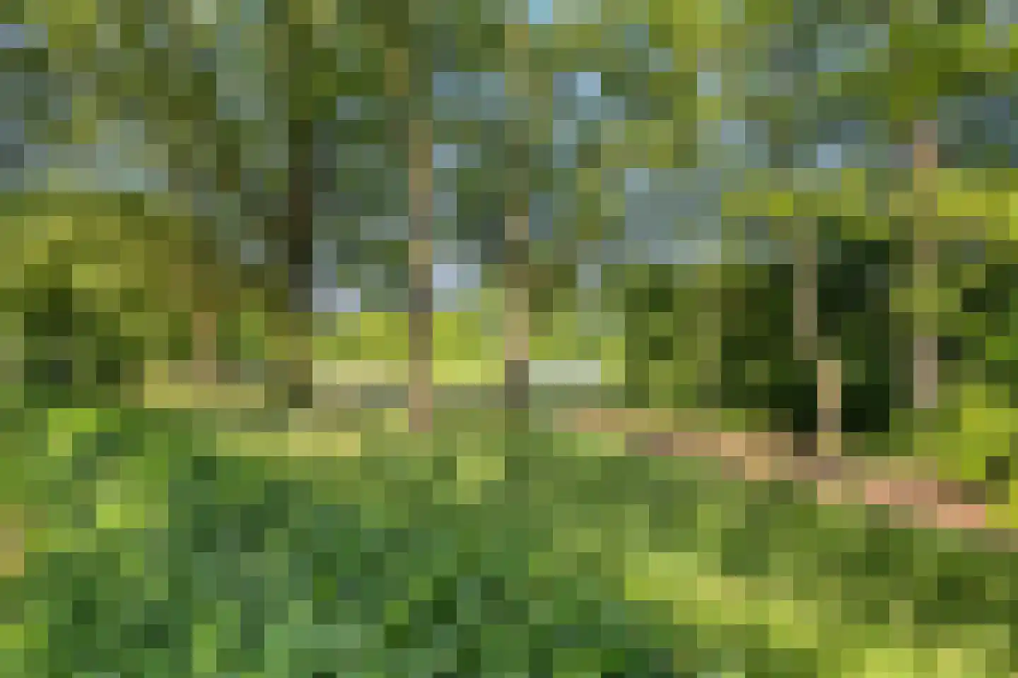 Zuidenveld 30 Assen thumbnail 49