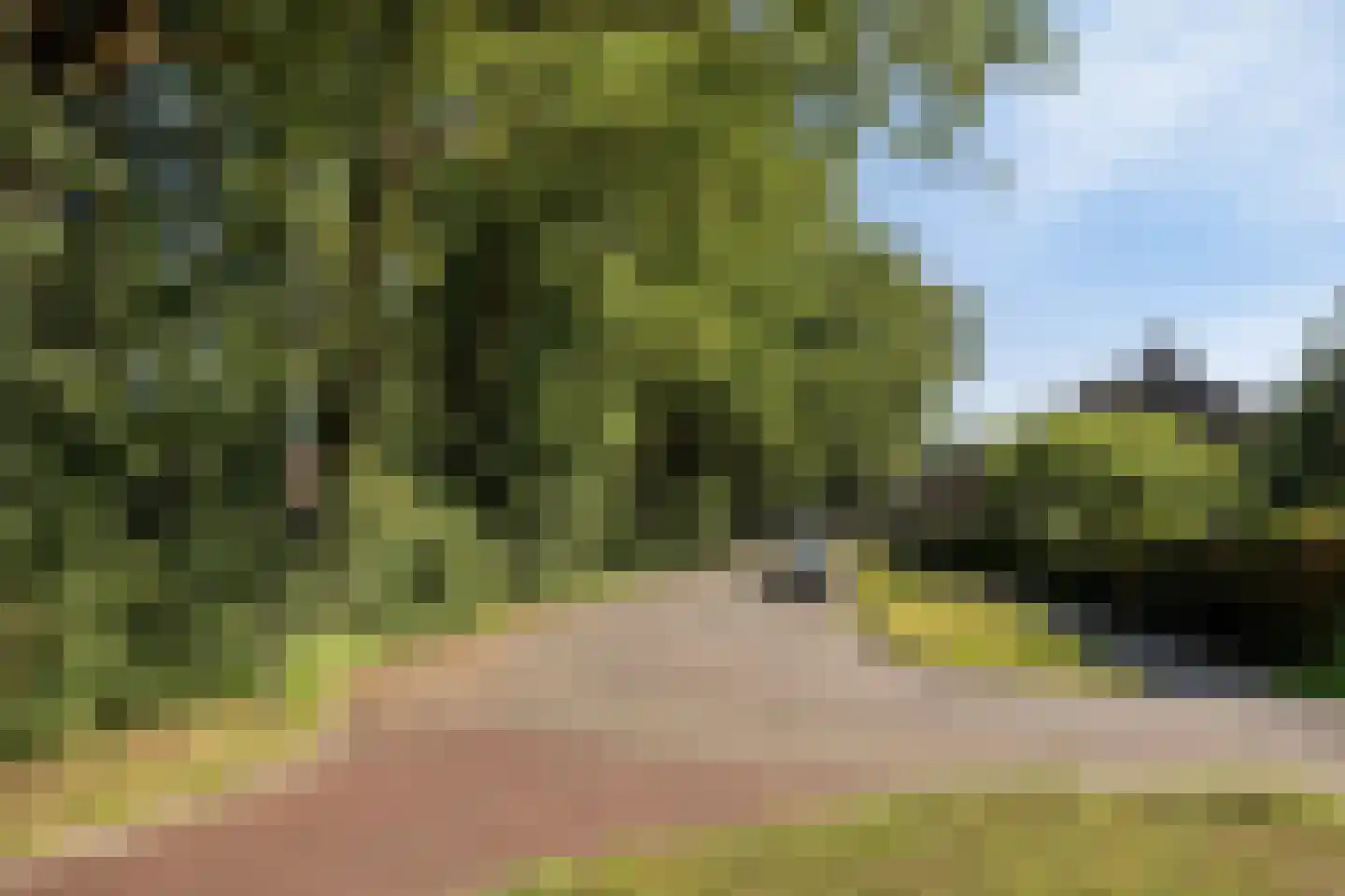 Zuidenveld 30 Assen thumbnail 50