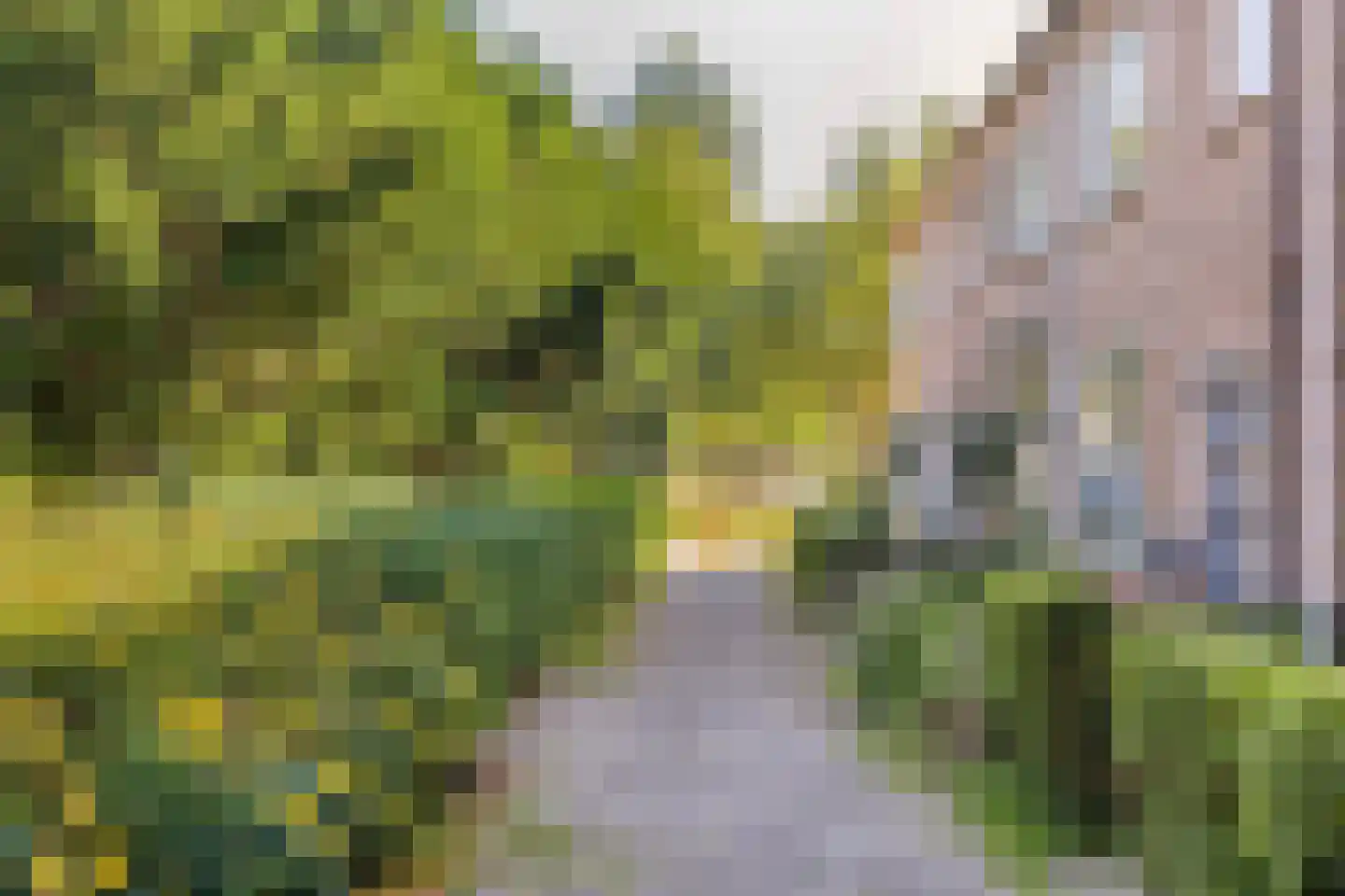 Zuidenveld 30 Assen thumbnail 52