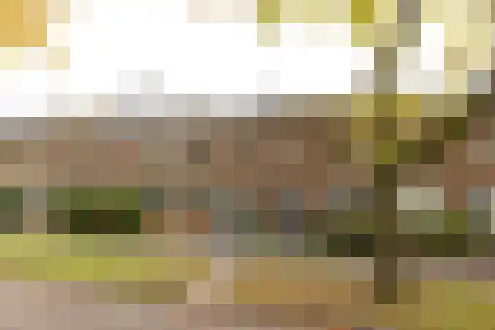 Zuidenveld 72 Assen thumbnail 35