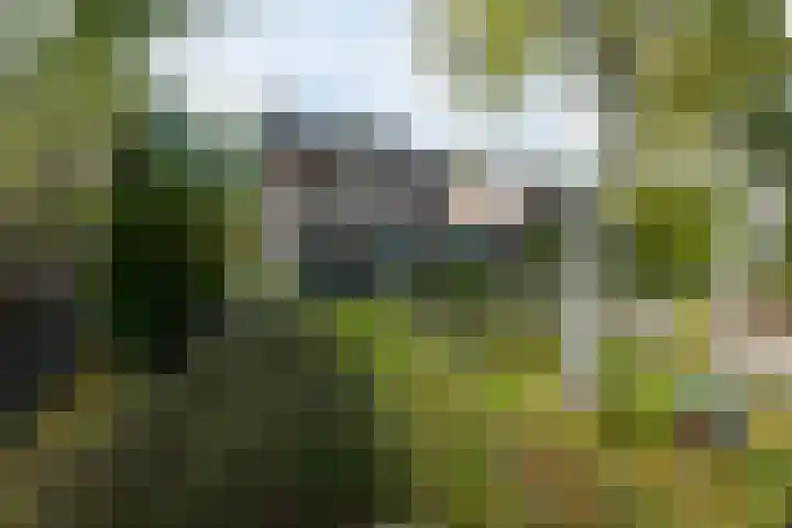 Zuidenveld 8 Roden thumbnail 31