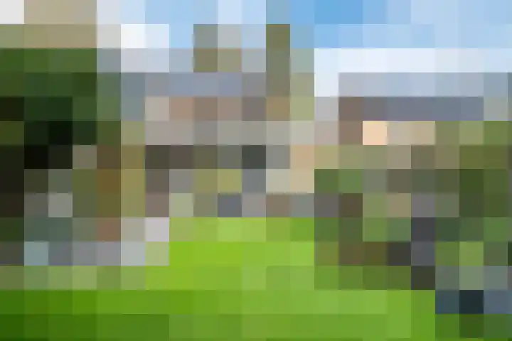 Zuidenveld 8 Roden thumbnail 34