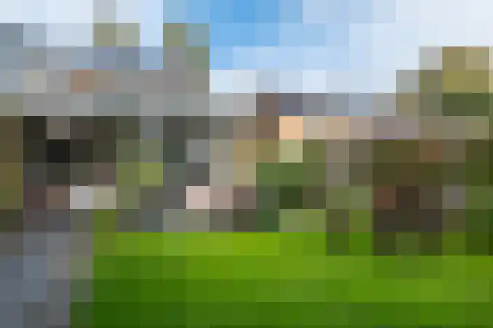 Zuidenveld 8 Roden thumbnail 35
