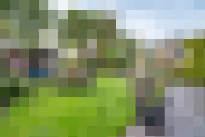 Zuidenveld 8 Roden thumbnail 36