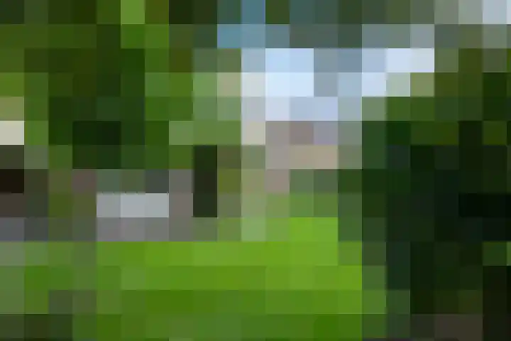 Zuidenveld 8 Roden thumbnail 37