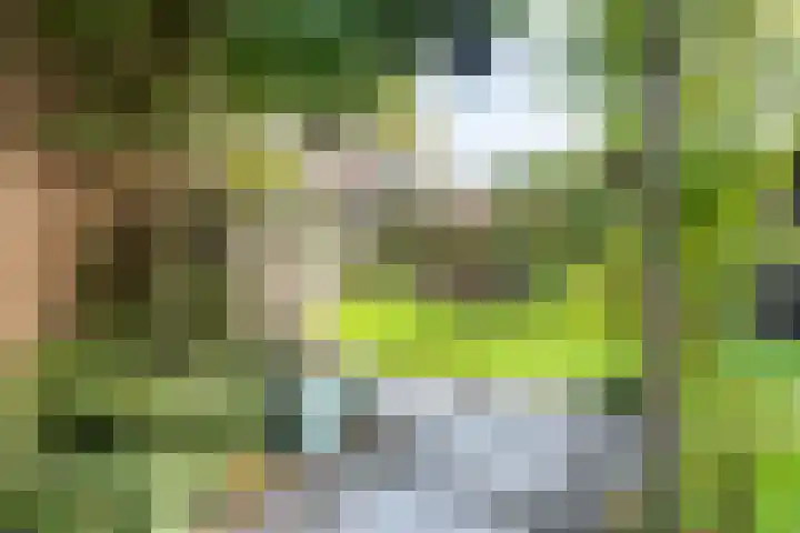 Zuidenveld 8 Roden thumbnail 38