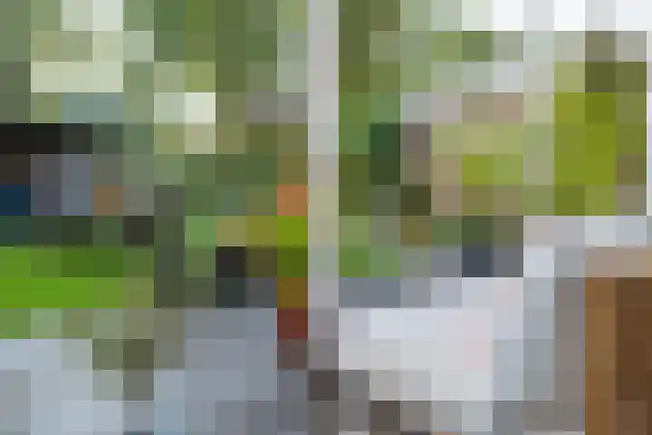 Zuidenveld 8 Roden thumbnail 39