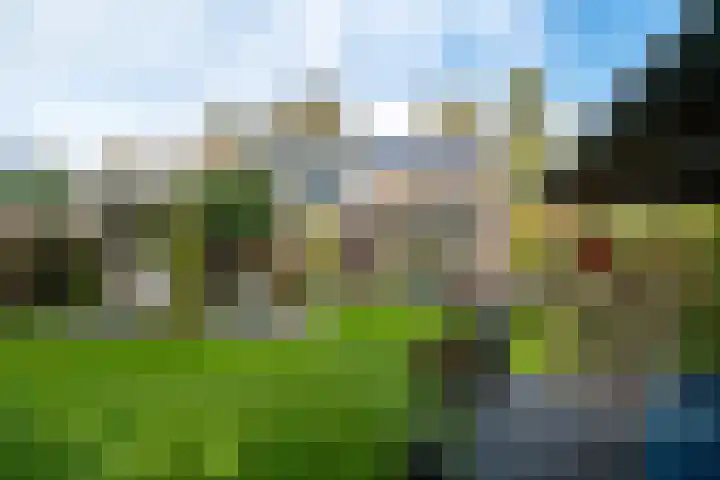 Zuidenveld 8 Roden thumbnail 4