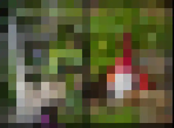 Zuidenveld 8 Roden thumbnail 40