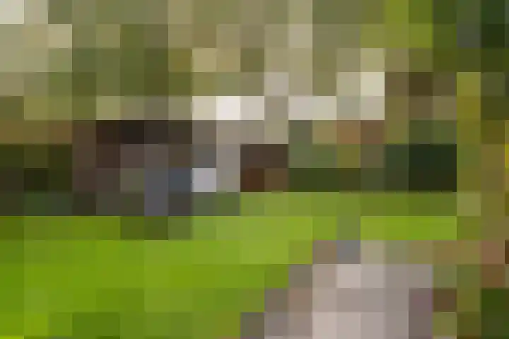 Zuidenveld 8 Roden thumbnail 41