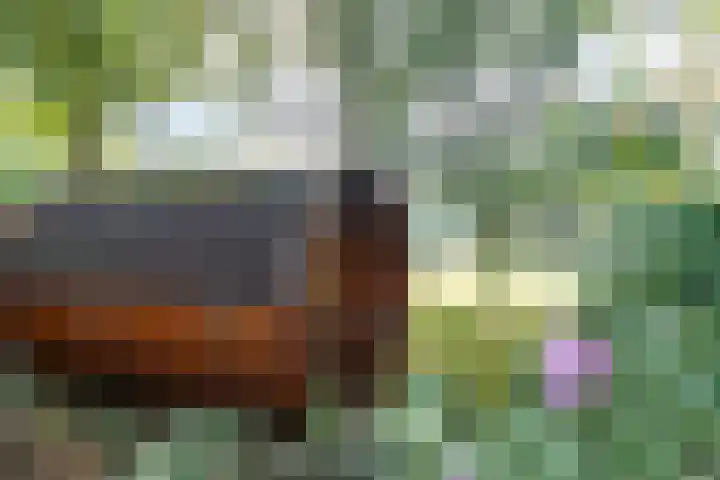 Zuidenveld 8 Roden thumbnail 42