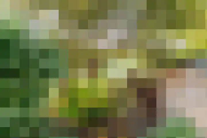 Zuidenveld 8 Roden thumbnail 43