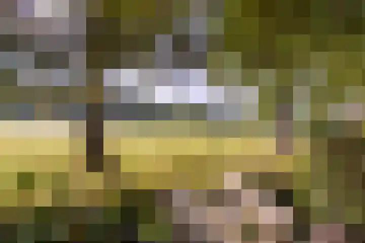 Zuidenveld 8 Roden thumbnail 44