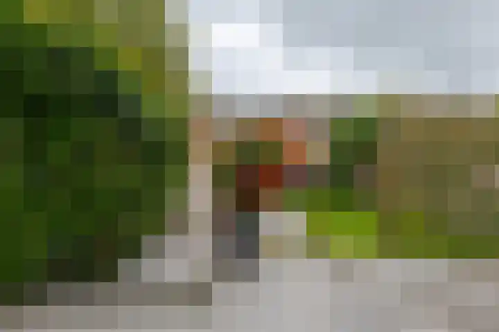 Zuidenveld 80 Assen thumbnail 32
