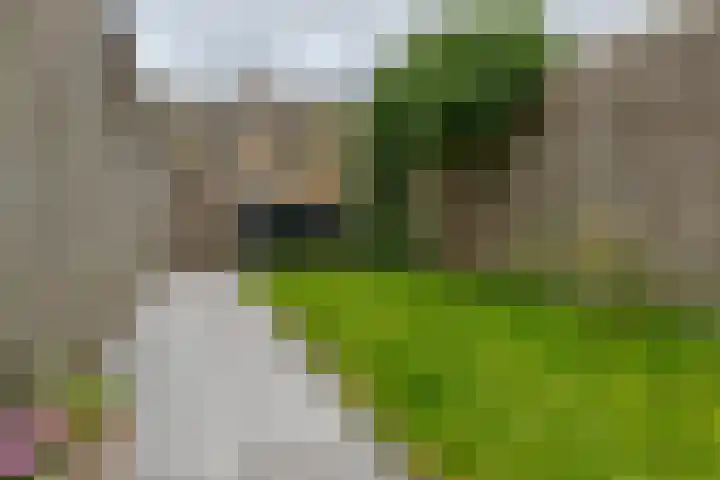 Zuidenveld 80 Assen thumbnail 37