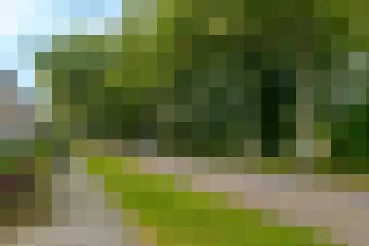 Zuidenveld 80 Assen thumbnail 4