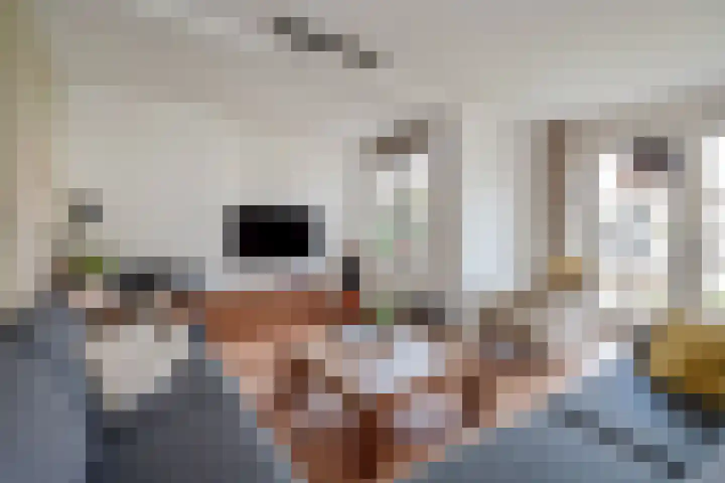 Zuidenveldlaan 32 Den Haag thumbnail 12