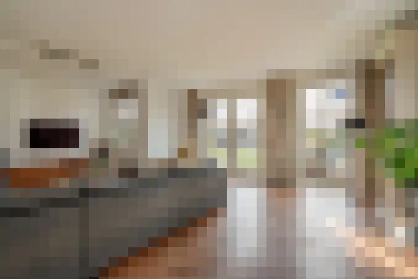 Zuidenveldlaan 32 Den Haag thumbnail 14