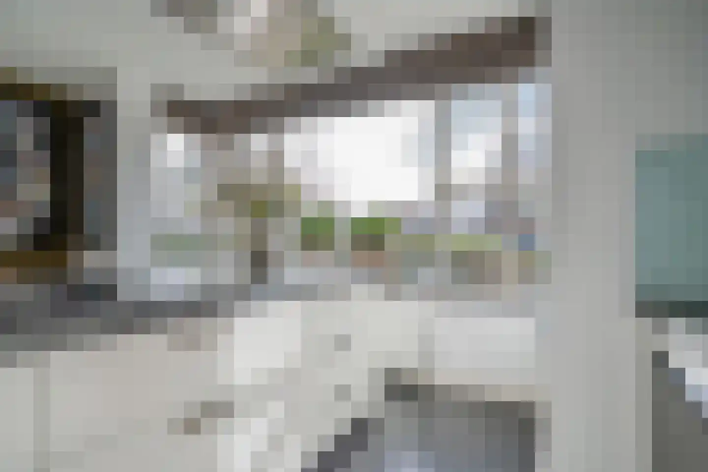 Zuidenveldlaan 32 Den Haag thumbnail 22