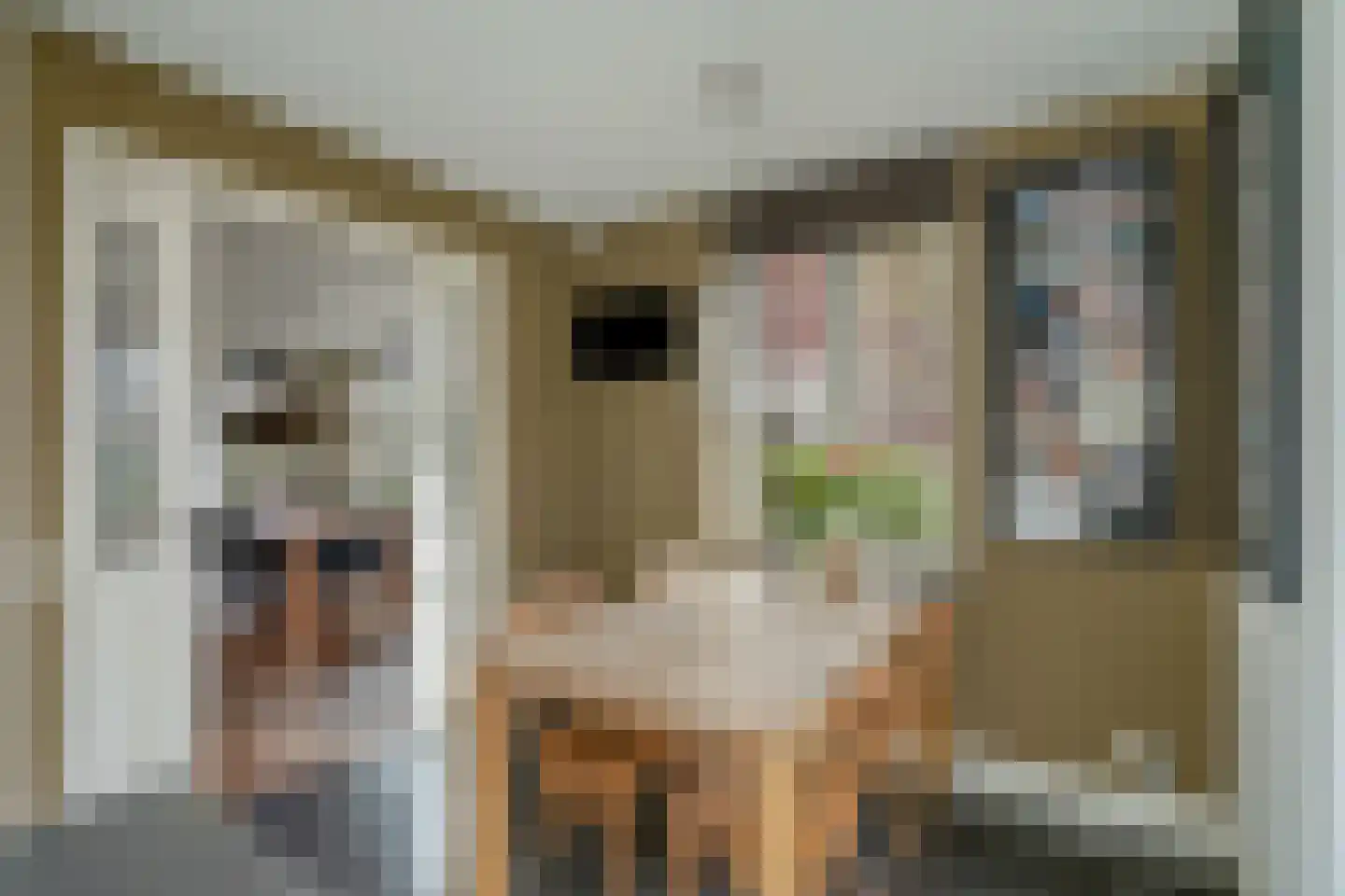 Zuidenveldlaan 32 Den Haag thumbnail 25