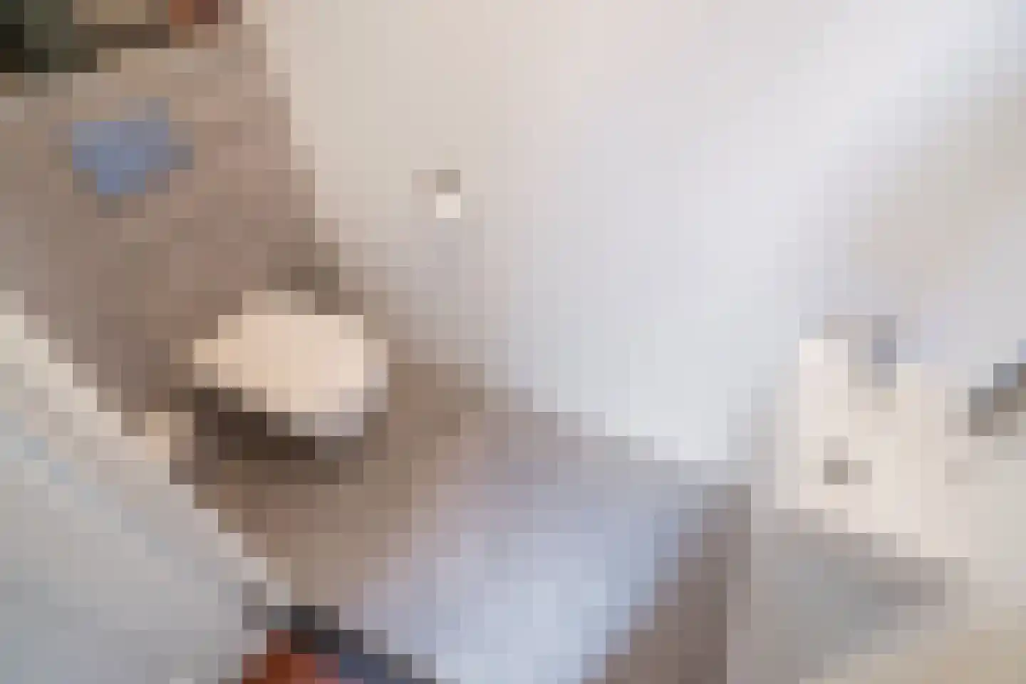Zuidenveldlaan 32 Den Haag thumbnail 26