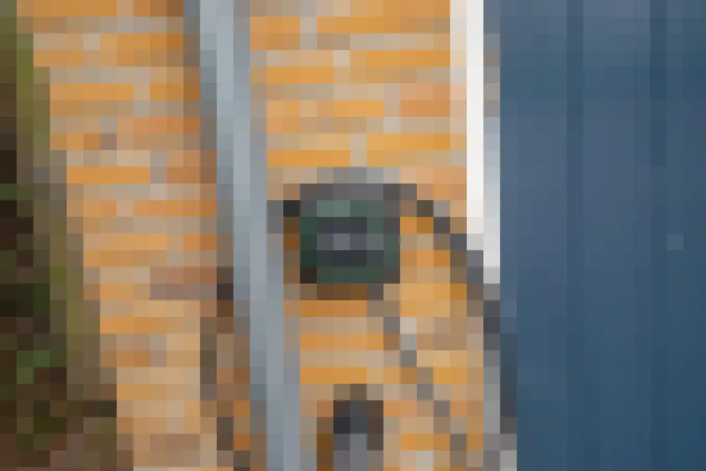 Zuidenveldlaan 32 Den Haag thumbnail 29