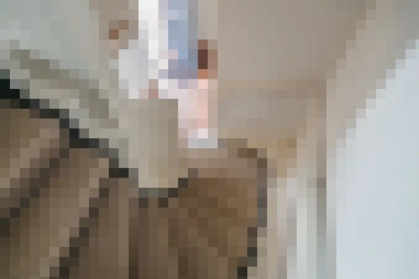 Zuidenveldlaan 32 Den Haag thumbnail 30