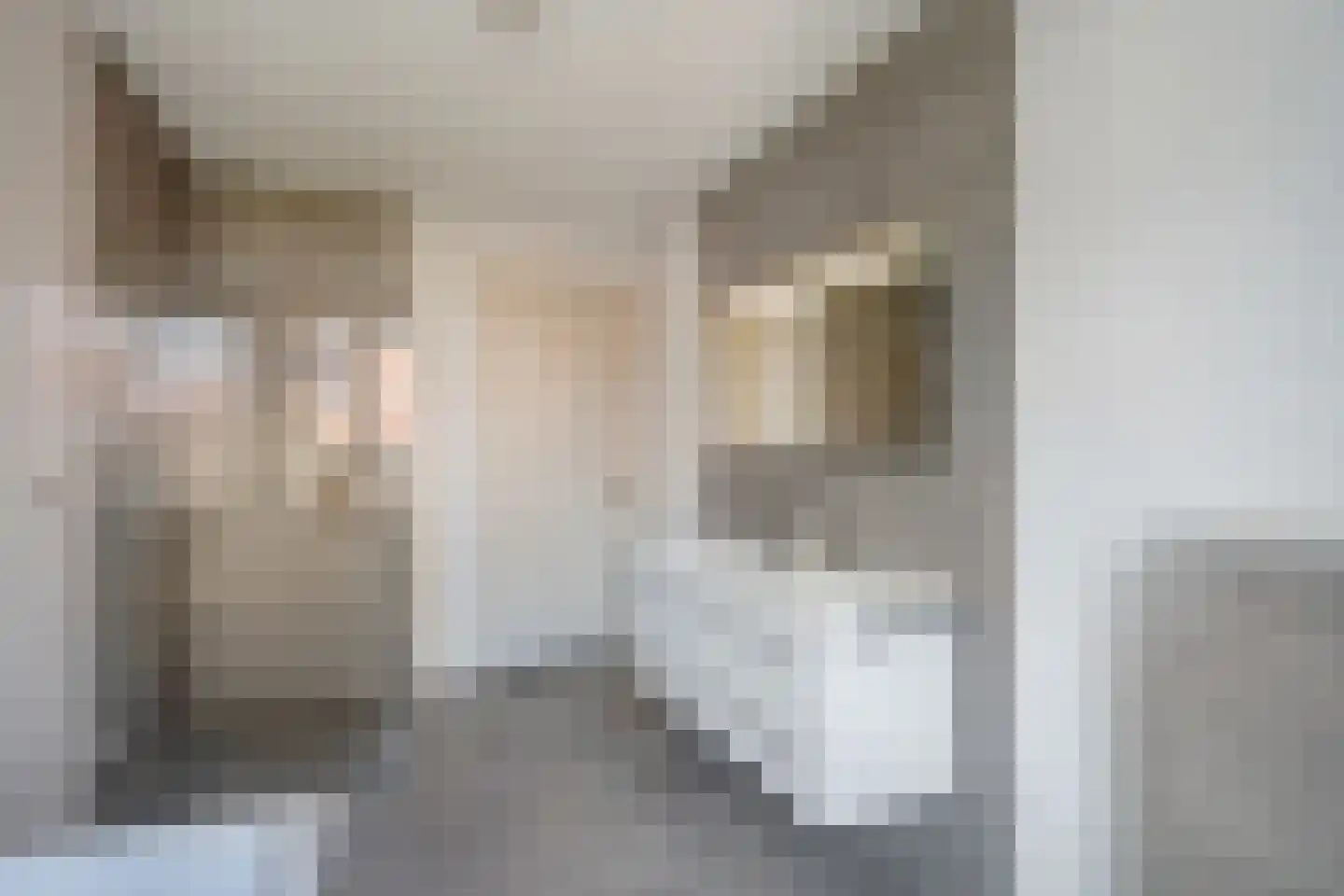 Zuidenveldlaan 32 Den Haag thumbnail 40