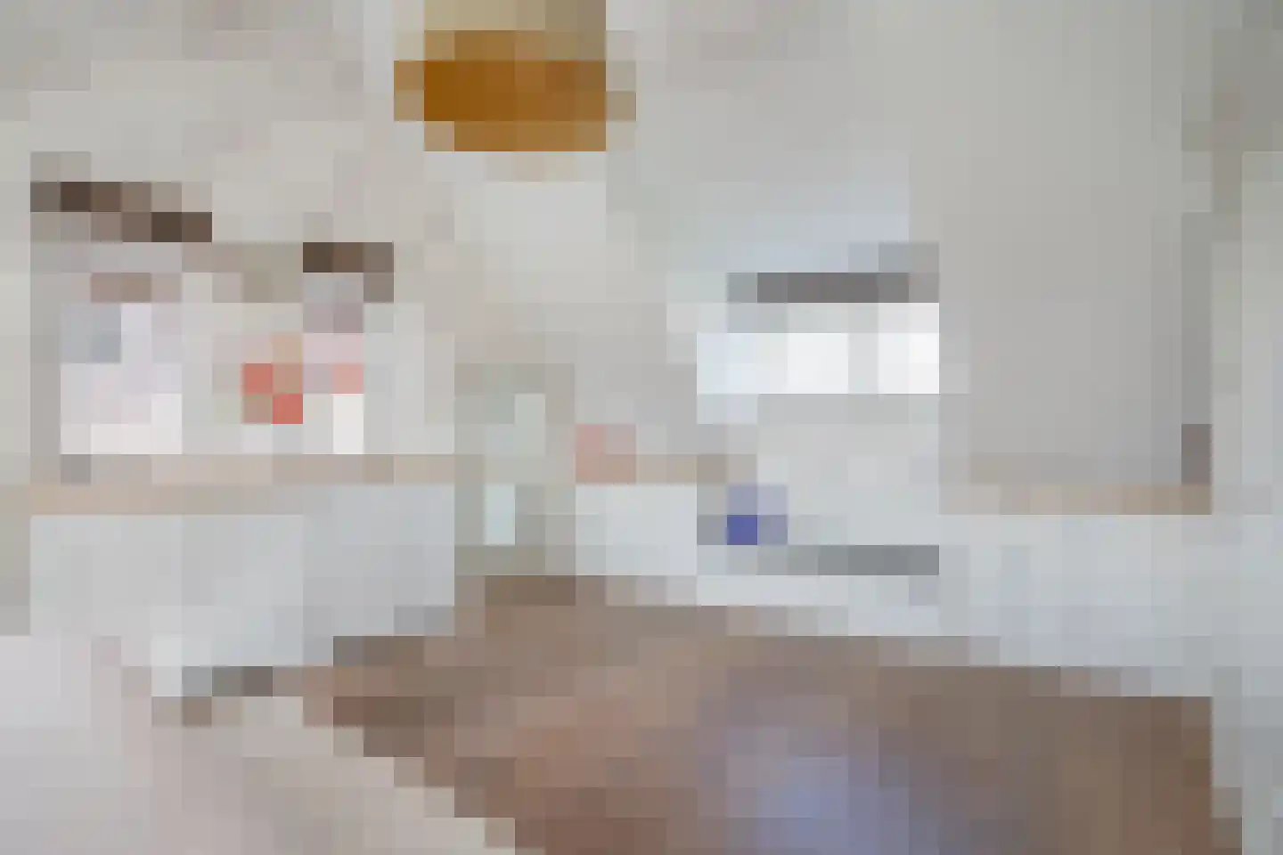 Zuidenveldlaan 32 Den Haag thumbnail 44