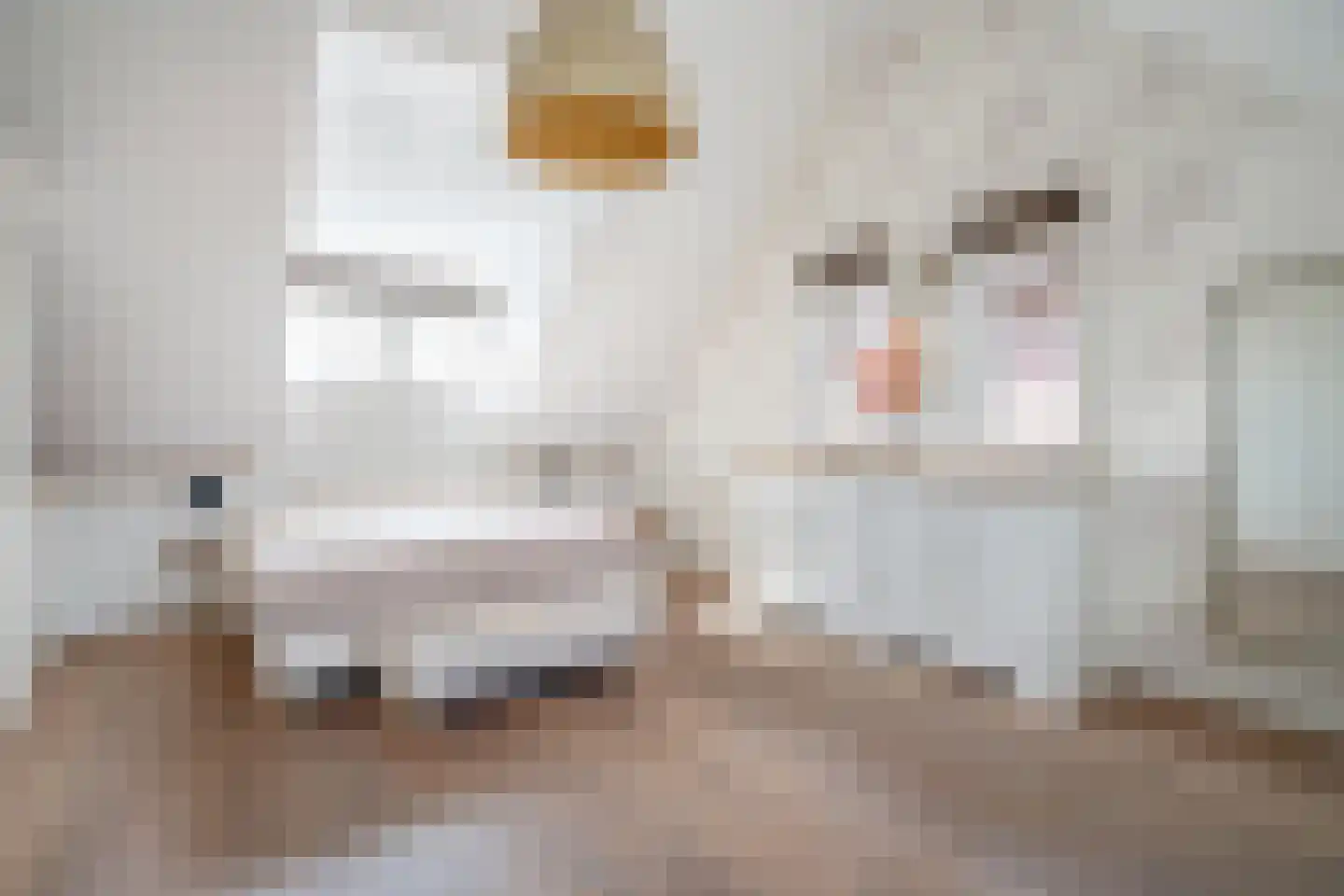 Zuidenveldlaan 32 Den Haag thumbnail 45
